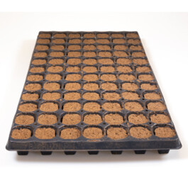 A33518 - PLAGRON - NEXTGEN GROWPLUG SIGILLATI | VASSOIO 84 PLUG
