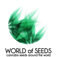 WOSAR3F - AMNESIA RYDER 3 SEMI AUTO WORLD OF SEEDS