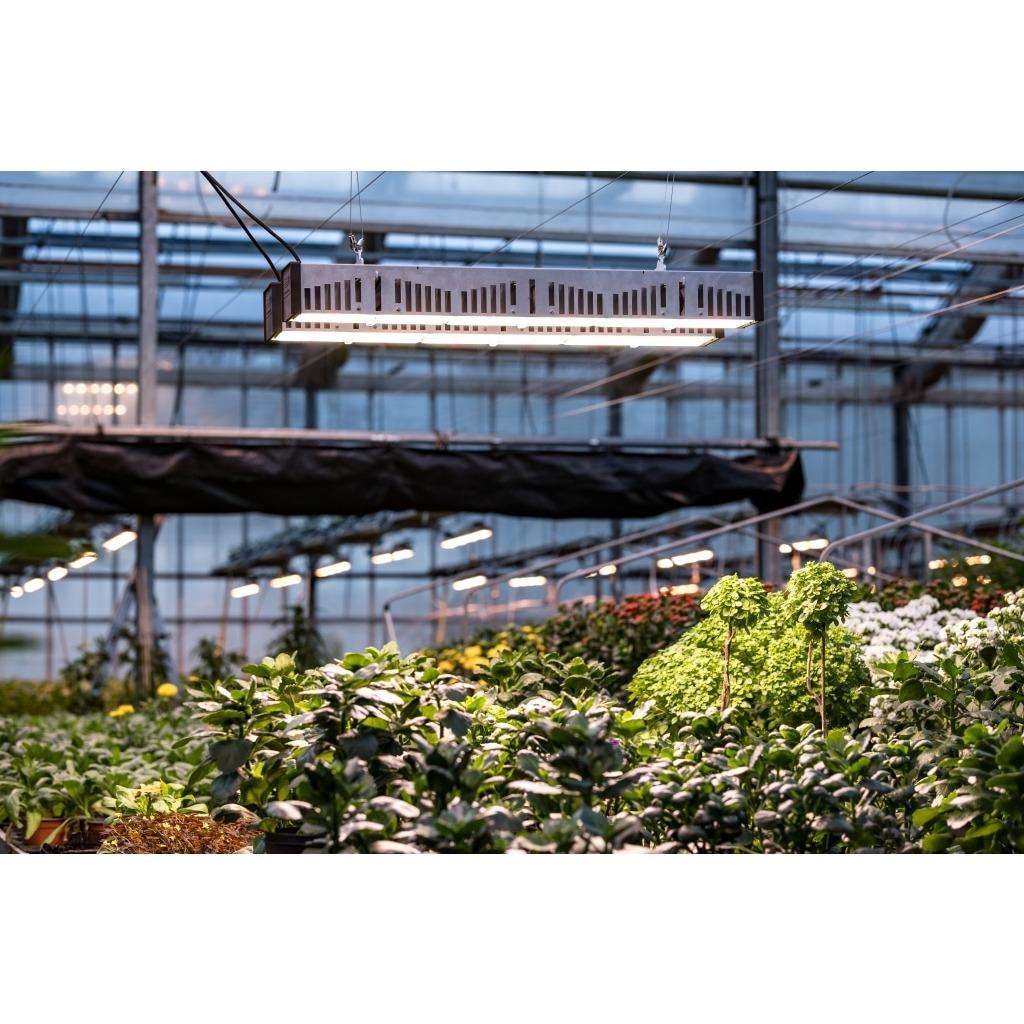 AA4050 - SANLIGHT - EVO 6C COMPACT 200-440V | 935W | PER UTILIZZO IN SERRA