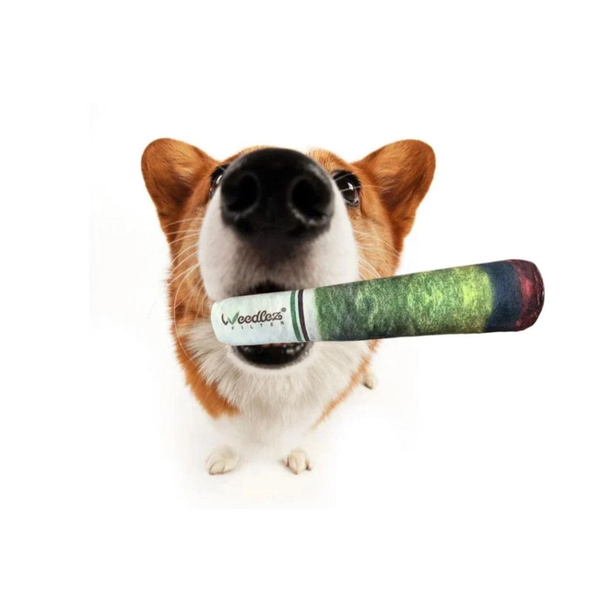 WFPETTOY1 - WEEDLEZ - SMOKING DOG TOY | GIOCATTOLO PER CANI
