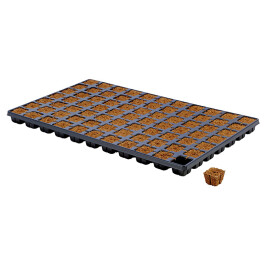 EAZY77 - HGA GARDEN - EAZY PLUG CT77 VASSOIO 77pz | 3,5x3,5x3h cm