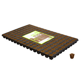T2021011 - HGA GARDEN - EAZY PLUG VASSOIO 150pz | 2,5x2,5x3h cm