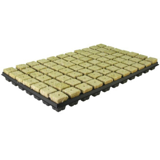 GRSBB - GRODAN - BOX 18 VASSOI IN PLASTICA SBS CON 77 CUBETTI LANA DI ROCCIA (1386pz) | 53x31 cm