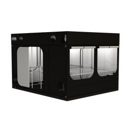 INT300R30 - SECRET JARDIN - INTENSE 300 R3.0 | 300x360x242h cm