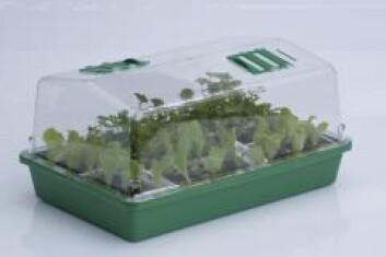 SER03 - HGA GARDEN - MINISERRA PROP43 | 38x24x18h cm