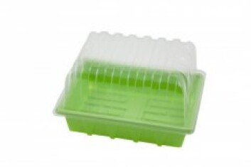 SER05 - HGA GARDEN - MINISERRA PROP32 | 23x18x13h cm
