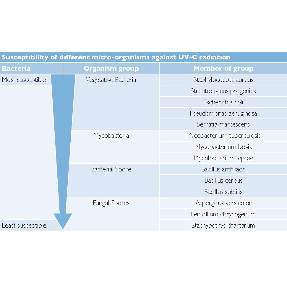 CLBULB - BULBO DI RICAMBIO PER CLEANLIGHT HOBBY UNIT 11W
