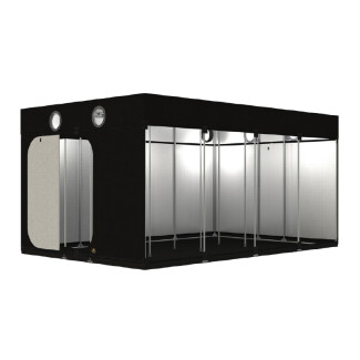 SECRET JARDIN - INTENSE R4.0