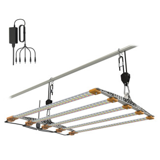 COM100K - SECRET JARDIN - KIT COSMORROW BLOOM | 100W 50cm