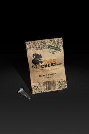 SSTKF0025017 - SEEDSTOCKERS - SUPER SKUNK FEM | 25 SEMI