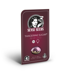 SS1560334 - SENSI SEEDS BANK - TANGERINE SUGAR FEM | 3 SEMI