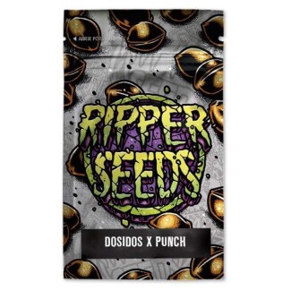 RSDSDPPF03F9024 - RIPPER SEEDS - DO-SI-DOS x PURPLE PUNCH FEM | 3 SEMI
