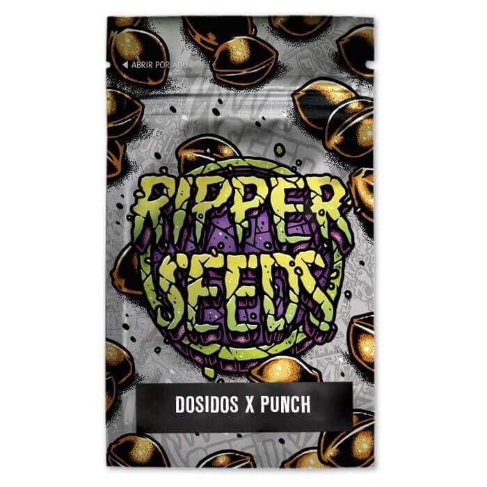 RSDSDPPF03F9024 - RIPPER SEEDS - DO-SI-DOS x PURPLE PUNCH FEM | 3 SEMI