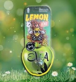 SEMEVA03F9007 - EVA SEEDS - LEMON KING FEM | 3+1 Free SEMI