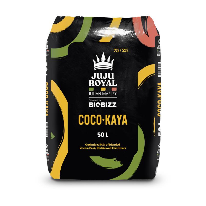 JUJU ROYAL BY BIOBIZZ - COCO KAYA