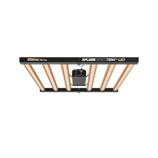 2951 - DIMLUX - XPLORE SERIES LED | 730W 9X - 1944 μmol/s - 2.69 μmol/J