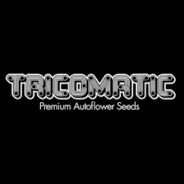 TRIC003-FATB005 - TRICOMATIC - FATBUD AUTO | 5 SEMI