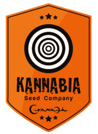 SEMKNB05A9000 - BABY BOOM AUTO 5 SEMI FEMM KANNABIA SEED COMPANY