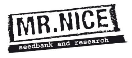 SMNN0013 - BLACK WIDOW 15 SEMI REGOLARI MR.NICE