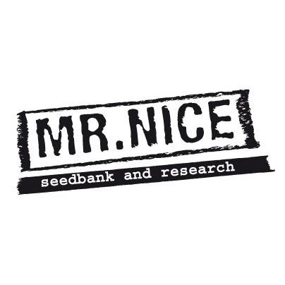 SMNN0013 - BLACK WIDOW 15 SEMI REGOLARI MR.NICE