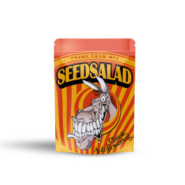 SEX002MILLE - SEEDSALAD - AUTO AK XXL FEM | 1000 SEMI