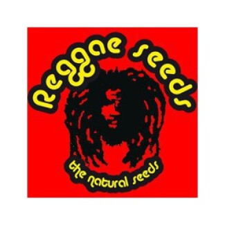 RS00307 - O'HAZE RED 7 SEMI FEMM REGGAE SEEDS