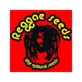 SR00407 - SRA. AMPARO 7 SEMI FEMM REGGAE SEEDS