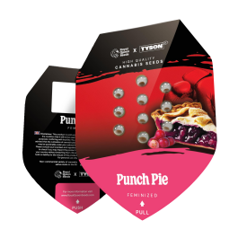 RQSFEM001086 - ROYAL QUEEN SEEDS - PUNCH PIE FEM (TYSON SEEDS) | 1 SEME
