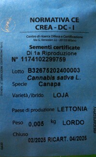 LOJA005 - SEMI DI CANAPA VARIETA' LOJA CE | 5g