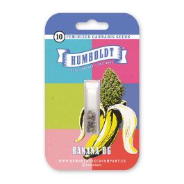 HSCBO-3-F - HUMBOLDT SEEDS COMPANY - BANANA OG FEM | 3 SEMI