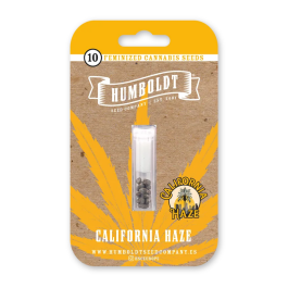 HSCCH-3-F - HUMBOLDT SEEDS COMPANY - CALIFORNIA HAZE FEM | 3 SEMI