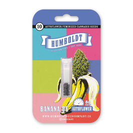 HSCBOA-3-F - HUMBOLDT SEEDS COMPANY - BANANA OG AUTO | 3 SEMI