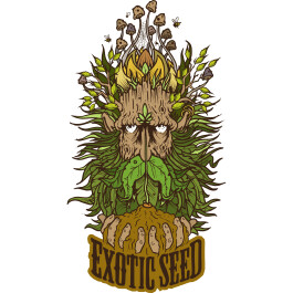EXSF00903 - EXOTIC SEED - SPICY BITCH FEM | 3 SEMI