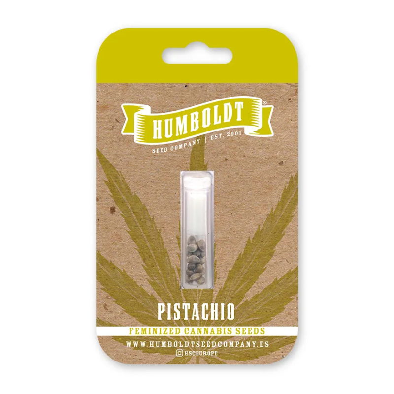 HSCPI-3-F - HUMBOLDT SEEDS COMPANY - PISTACHIO FEM | 3 SEEDS