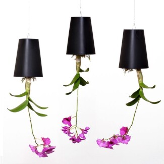 SKYPMBL - SKYPLANTER MEDIUM NERO BOSKKE