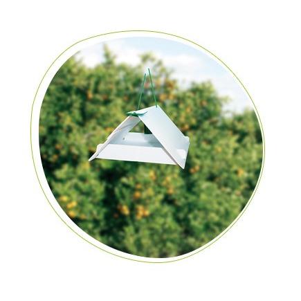 71828004PB - RICARICHE ADESIVE PER TRAPPOLA UNIVERSALE A FEROMONI