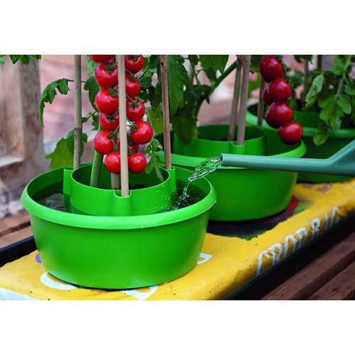 G167 - HALOS  SUPPORTO PER PIANTE CON INVASO PER IRRIGAZIONE 3 PZ GARLAND