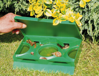 434017 - SLUG_X TRAPPOLA PER LUMACHE GARLAND