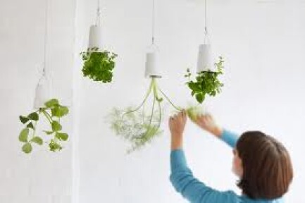 SKYPL - SKYPLANTER LARGE BIANCO BOSKKE