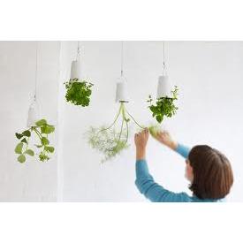 SKYPL - SKYPLANTER LARGE BIANCO BOSKKE