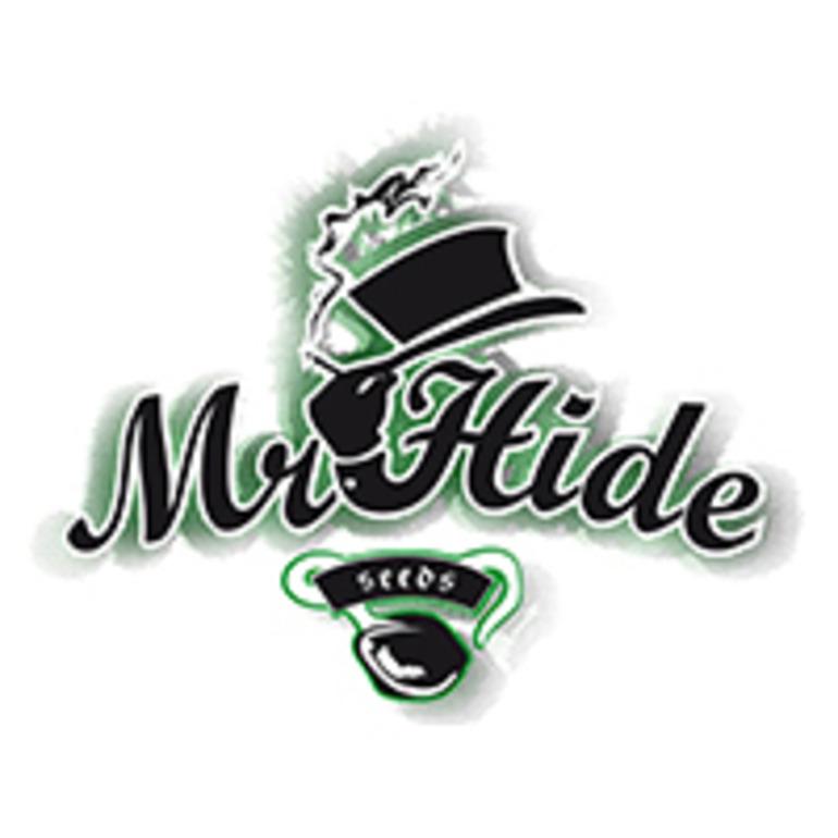 MRH03FMR420K - MR. HIDE SEEDS - Mr. 420K 3 SEMI FEMM