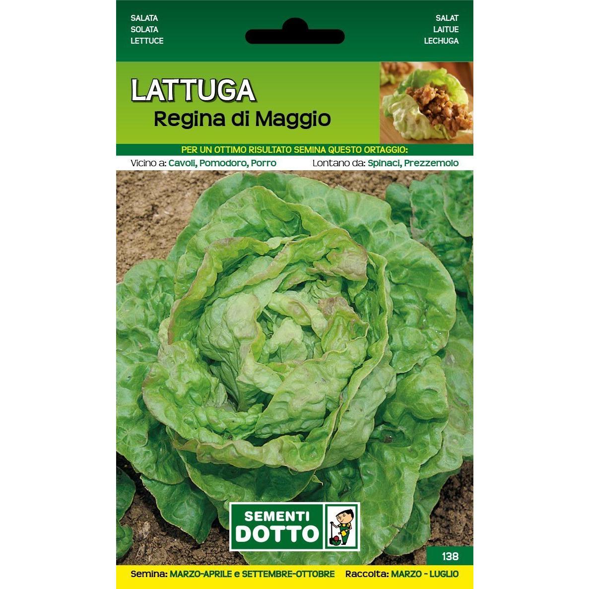 11110138 - LATTUGA REGINA DI MAGGIO ORTO BIOLOGICO DOTTO SEMENTI
