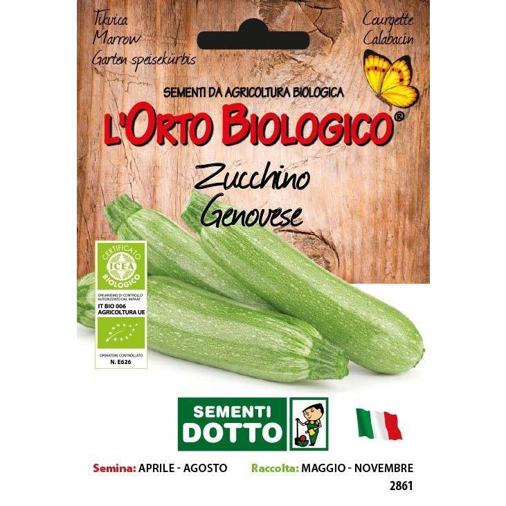 11112861 - ZUCCHINO GENOVESE ORTO BIOLOGICO DOTTO SEMENTI