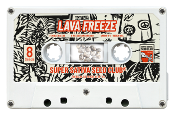 SSSC050302 - SUPER SATIVA SEED CLUB - LAVA FREEZE FEM | 3 SEMI