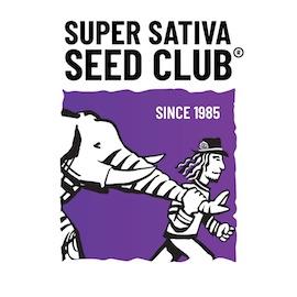 SSSC250802 - SUPER SATIVA SEED CLUB - AUTO SWEET BOURBON KUSH FEM | 8 SEMI Disponibili fino a fine scorte