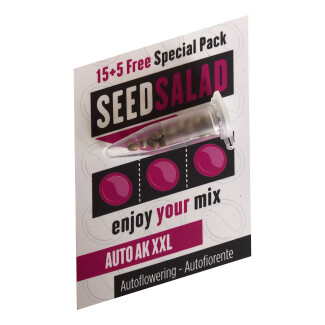 SEX00215PIP - SEEDSALAD - AUTO AK XXL FEM | 15+5 SEMI GRATIS