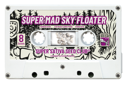 SSSC11081 - SUPER SATIVA SEED CLUB - SUPER MAD SKY FLOATER FEM | 8 SEMI Disponibili fino a fine scorte