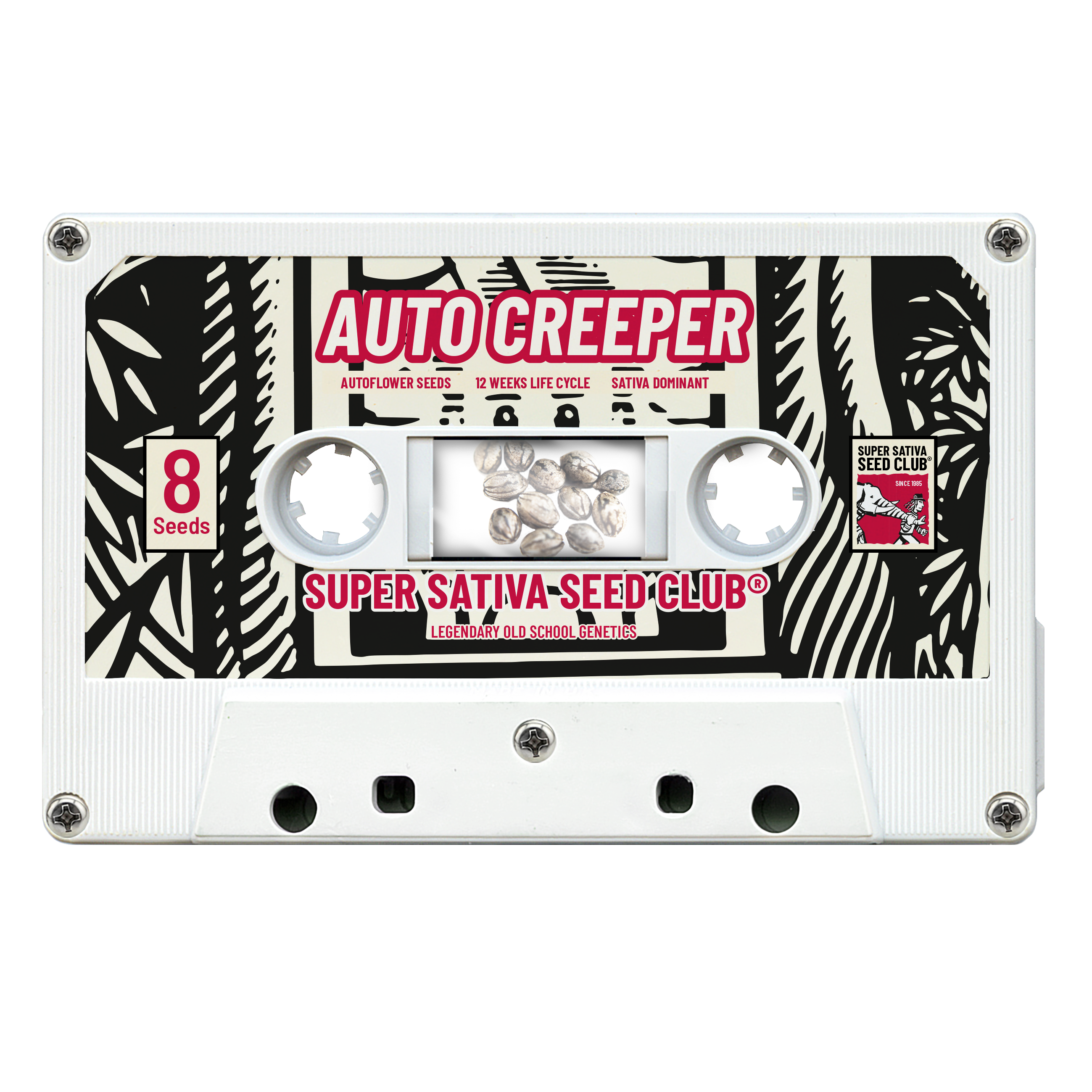 SSSC07081 - SUPER SATIVA SEED CLUB - AUTO CREEPER FEM | 8 SEMI Disponibili fino a fine scorte