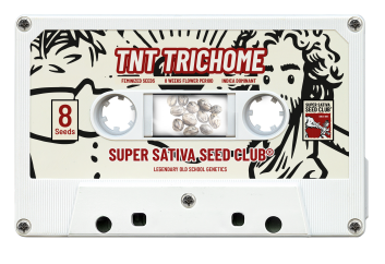 SSSC100302 - SUPER SATIVA SEED CLUB - TNT TRICHOME FEM | 3 SEMI