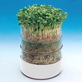 BIOS - GERMINATORE DI SEMI BIOSET